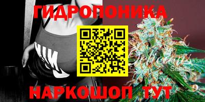 гидропоника Кулебаки